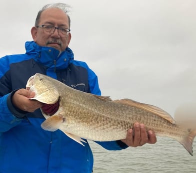 Redfish fishing in Texas City, Texas