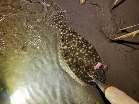 Flounder Fishing in Rio Hondo, Texas