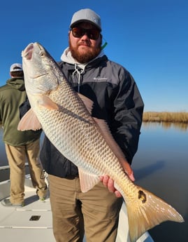 Redfish Fishing in