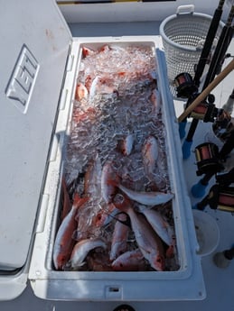 Fishing in Panama City Beach, Florida