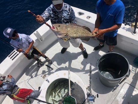 Gag Grouper fishing in Destin, Florida