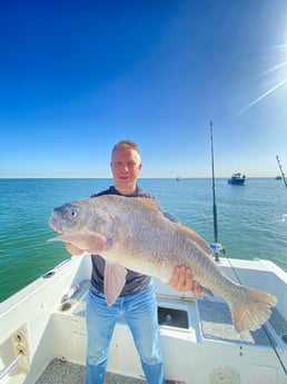 Sheepshead fishing in Galveston, Texas