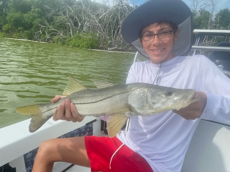 Snook fishing in Tavernier, Florida