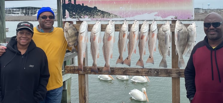 Black Drum, Redfish, Sheepshead fishing in Port Aransas, Texas