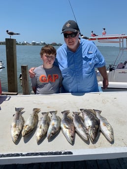 Speckled Trout / Spotted Seatrout fishing in Galveston, Texas