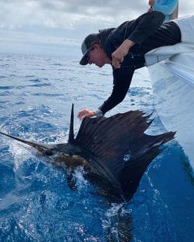 Sailfish Fishing in Islamorada, Florida