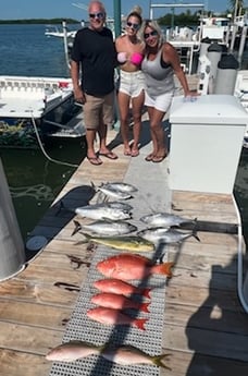 Blackfin Tuna, Mahi Mahi / Dorado, Red Snapper, Yellowtail Snapper Fishing in Islamorada, Florida