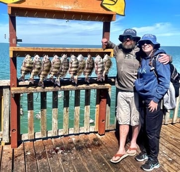 Sheepshead Fishing in South Padre Island, Texas