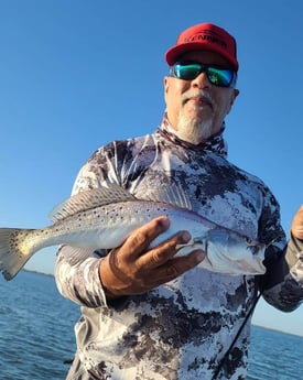 Redfish, Speckled Trout / Spotted Seatrout fishing in Galveston, Texas