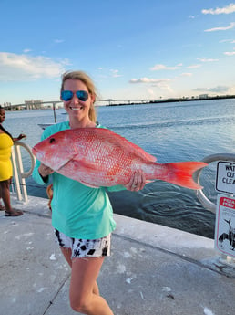 Goliath Grouper fishing in Clearwater, Florida