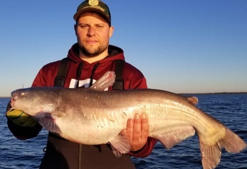 Blue Catfish fishing in Dallas, Texas