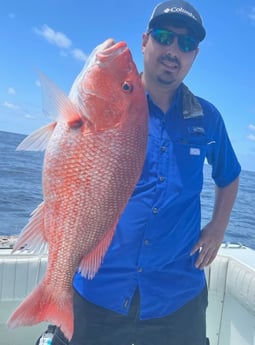 Red Snapper fishing in Galveston, Texas