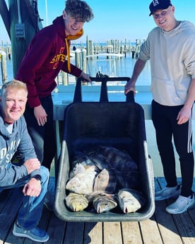 Sheepshead fishing in Gulf Shores, Alabama