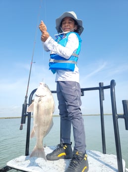 Black Drum Fishing in South Padre Island, Texas