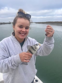 Black Drum Fishing in Mount Pleasant, South Carolina