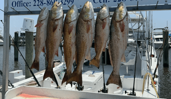 Fishing in Biloxi, Mississippi