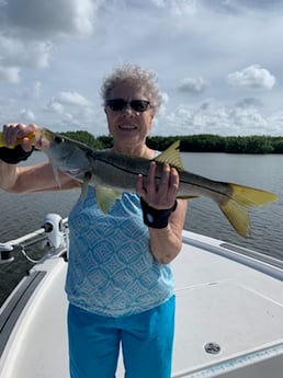 Snook fishing in Clearwater, Florida