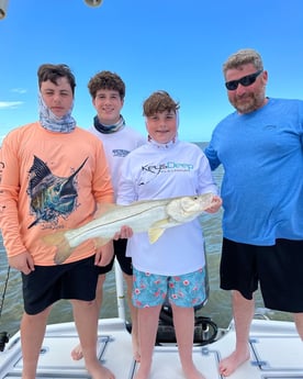 Snook fishing in Tavernier, Florida