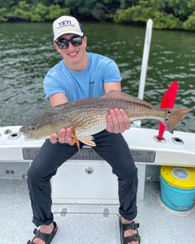 Snook fishing in Tampa, Florida