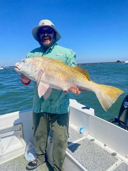 Black Drum Fishing in Galveston, Texas