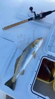 Fishing in Destin, Florida