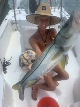 Snook fishing in Sarasota, Florida