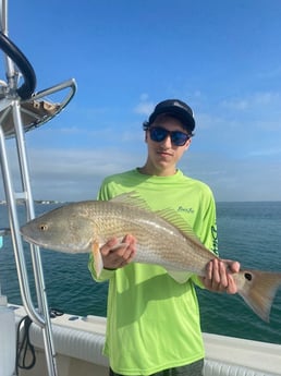 Redfish fishing in Sarasota, Florida