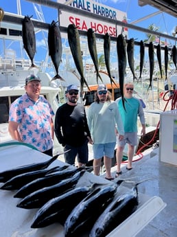 Fishing in Islamorada, Florida