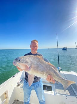 Sheepshead fishing in Galveston, Texas