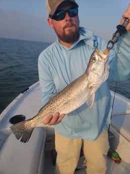 Speckled Trout Fishing in Galveston, Texas