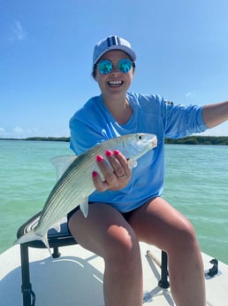 Snook fishing in Key Largo, Florida