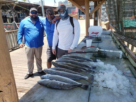 Speckled Trout / Spotted Seatrout fishing in Port Isabel, Texas