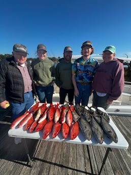 Amberjack, Vermillion Snapper Fishing in Pensacola, Florida