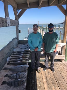 Black Drum, Redfish Fishing in Corpus Christi, Texas