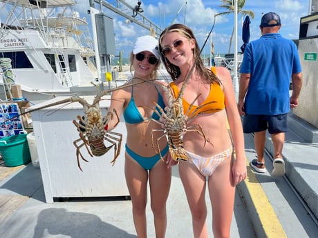 Lobster fishing in Islamorada, Florida