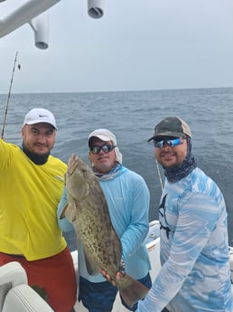 Fishing in Sarasota, Florida