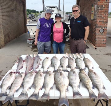 Blue Catfish, Hybrid Striped Bass Fishing in Runaway Bay, Texas