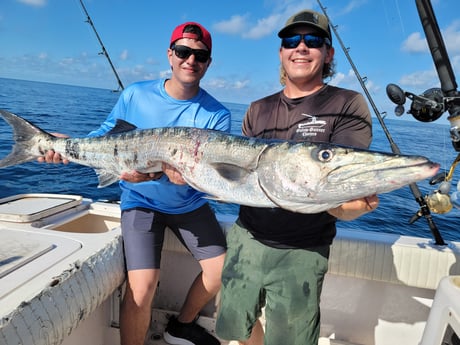 Barracuda fishing in Clearwater, Florida