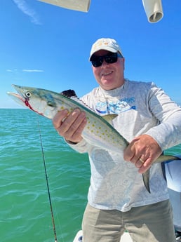 Snook fishing in Key Largo, Florida