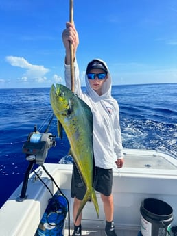 Mahi Mahi Fishing in Key Largo, Florida