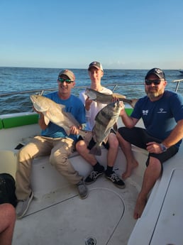 Fishing in Port Orange, Florida