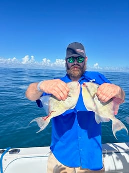 Triggerfish Fishing in Port Orange, Florida