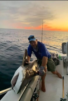 Blacktip Shark Fishing in Fort Walton Beach, Florida