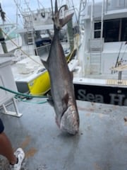 Fishing in Islamorada, Florida