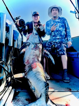 Swordfish Fishing in Miami, Florida