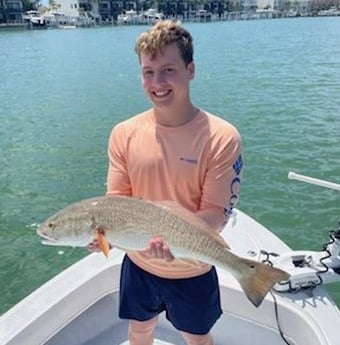 Redfish Fishing in Tampa, Florida