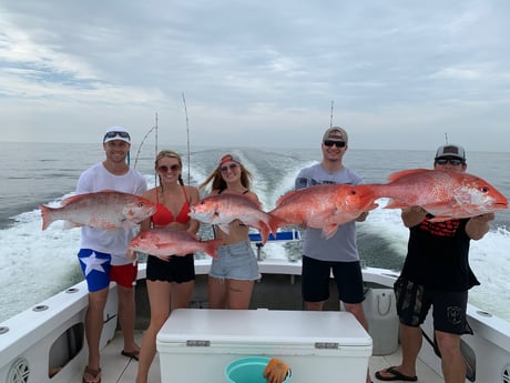 Red Snapper fishing in Biloxi, Mississippi