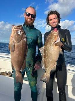 Red Grouper Fishing in Islamorada, Florida