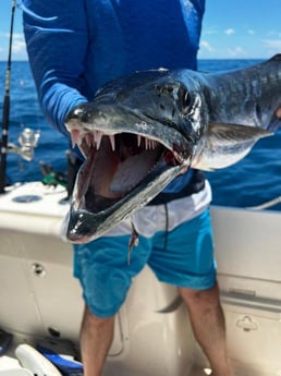 Fishing in Sarasota, Florida