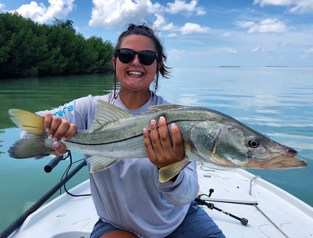 Snook fishing in Tavernier, Florida